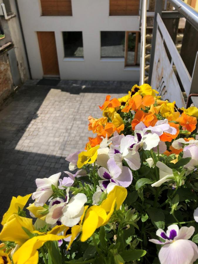 Appartamento Incantevole Con Parcheggio Privato Casteldidone Экстерьер фото